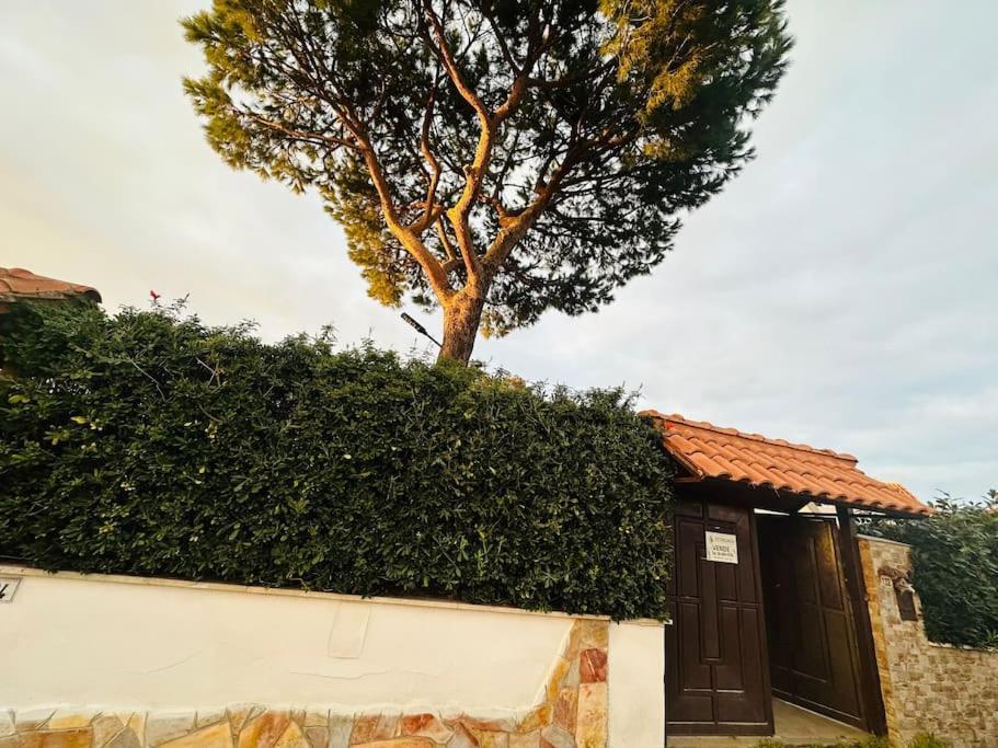 Fontana House Villa Marina di Cerveteri Dış mekan fotoğraf